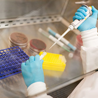 Microbiology Media Image
